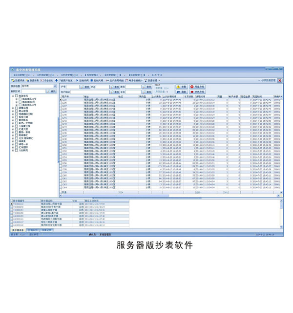 Server version meter reading software