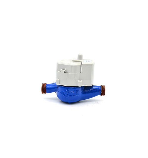 Mechatronics remote water meter